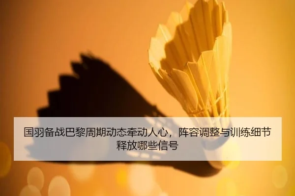 国羽备战巴黎周期动态牵动人心，阵容调整与训练细节释放哪些信号